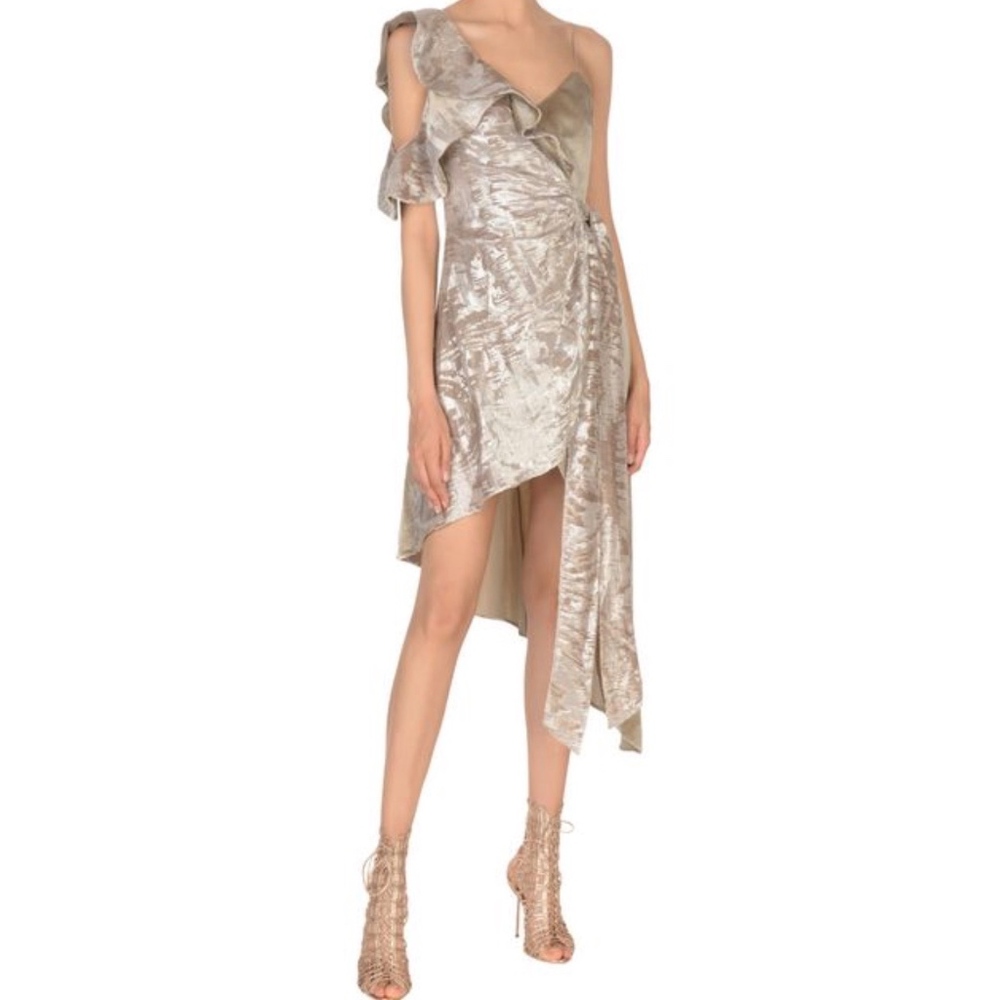 Self-Portrait Dress Size 6